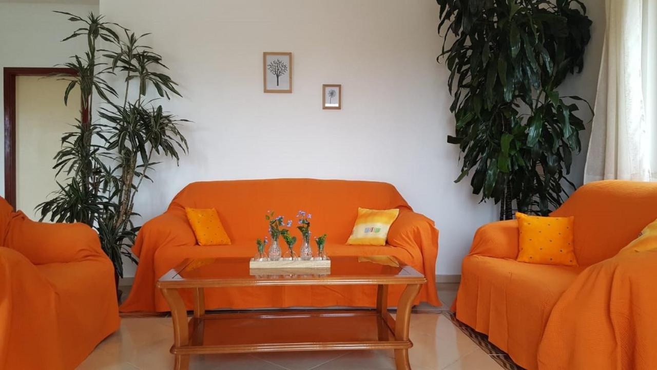 Bodul Vacation Apartment Zaton  Luaran gambar